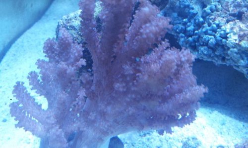 2013-03-16 09.12.43.jpg