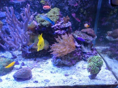 bta no clown (2).jpg bta no clown (2).jpg