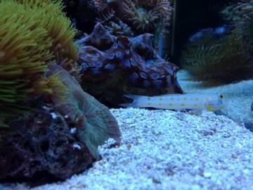 IMG_0131.jpg