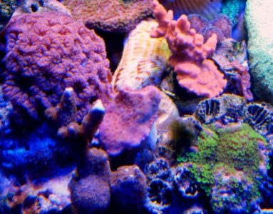 3-16-13 jedi mind trick.jpg