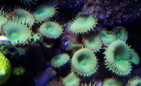 phone pic 2 2-23-13 026.jpg