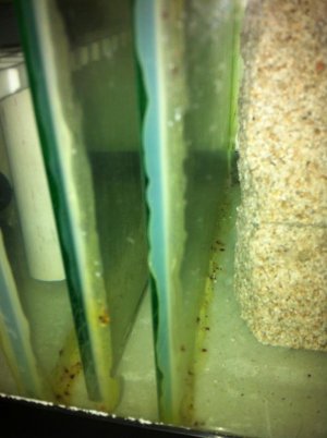 photo-13.jpg
