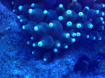 ImageUploadedByTapatalk 21361984075.782021.jpg