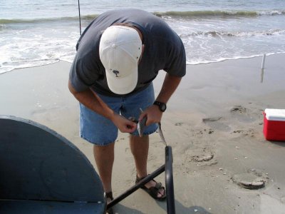 Catching Sharpnoses.jpg