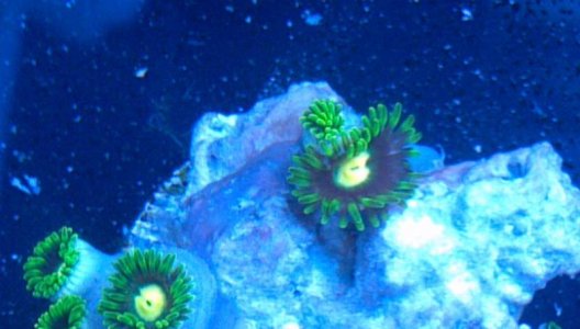 2013-02-27_17-31-06_259.jpg