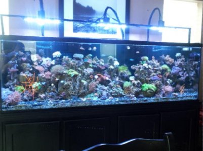 2013-03-17 17.19.43.jpg