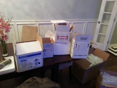 2013-02-27 20.00.49.jpg