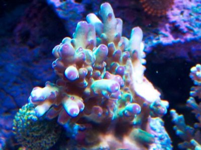 100_4659.jpg
