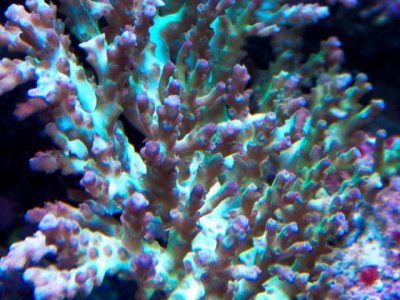 100_4656.jpg