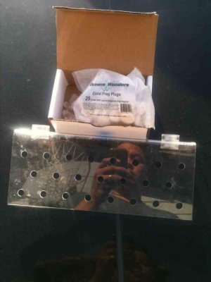 ImageUploadedByTapatalk1363621208.244675.jpg ImageUploadedByTapatalk1363621208.244675.jpg