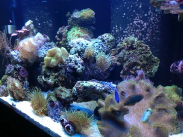 IMG_0109.jpg