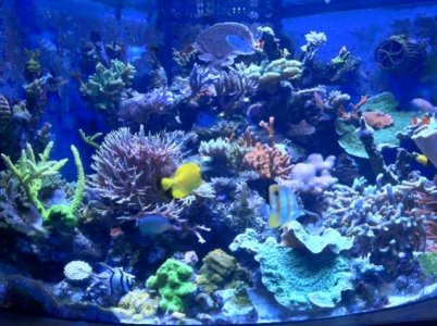 fts3.jpg