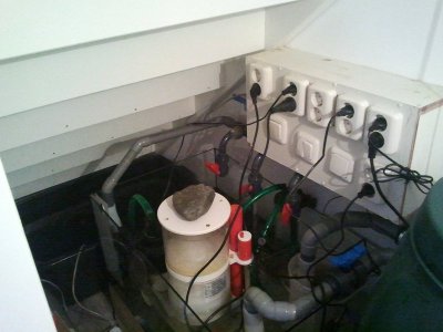 2012-10-13 17.17.56.jpg