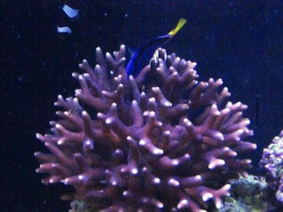 IMG_0178.jpg
