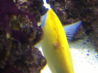 Photo Mar 01, 4 18 38 PM.jpg