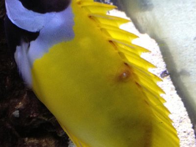 Photo Mar 01, 4 19 02 PM.jpg