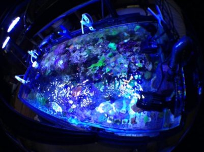 photo 3.jpg