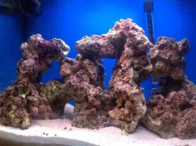 ImageUploadedByTapatalk HD1362233071.000258.jpg