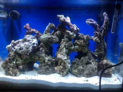 ImageUploadedByTapatalk HD1362233098.832809.jpg