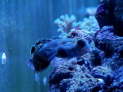 2013-03-19 17.43.10-1 (800x600).jpg