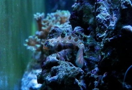 2013-03-17 19.19.13-2 (640x437).jpg