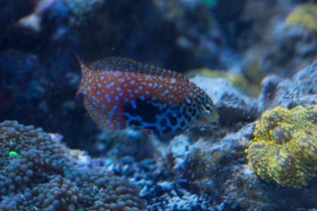 IMG_1940 - Version 2.jpg