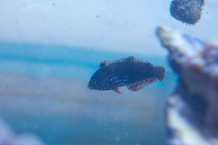 IMG_1941 - Version 2.jpg