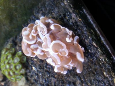 20130302_181242.jpg