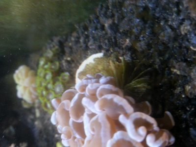 20130302_181721.jpg