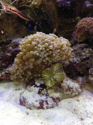 IMG_0840.jpg