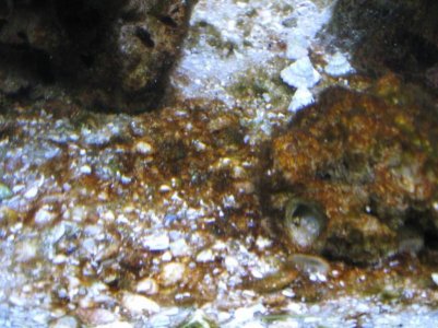 IMG_1642 (Copy).jpg