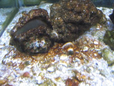 IMG_1646 (Copy).jpg