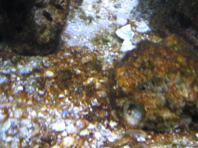 IMG_1650 (Copy).jpg