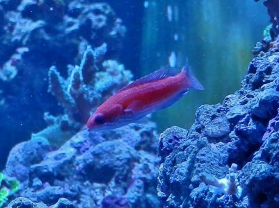 P3020085 (800x599).jpg