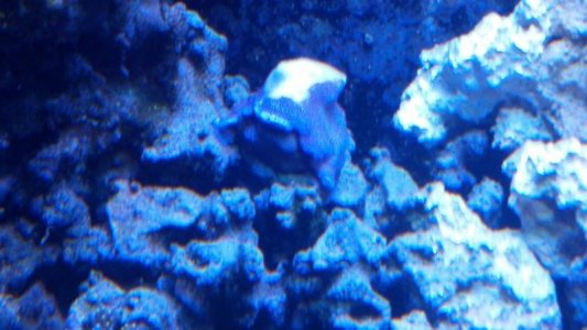 2013-03-21_21-36-33_51.jpg
