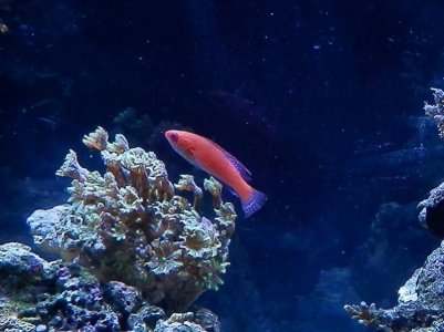 P3040001 (800x599).jpg