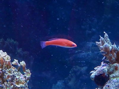 P3040025 (800x599).jpg