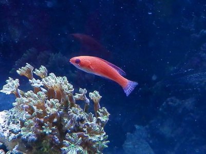 P3040032 (800x599).jpg