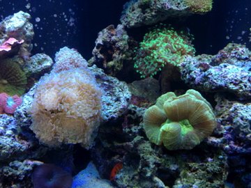 IMG_0108.jpg