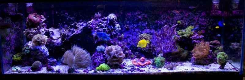 march 2013 small.jpg march 2013 small.jpg