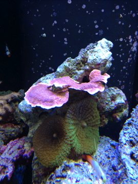 IMG_0141.jpg