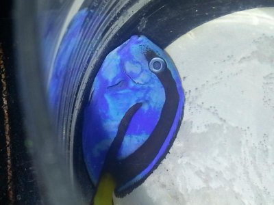 2013-03-23 09.36.01.jpg