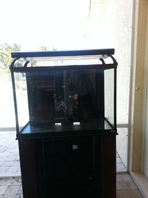 20130316_142330.jpg