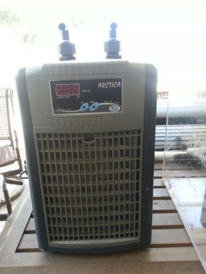 20130316_141708.jpg