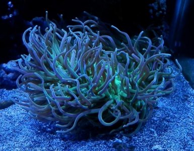 P3230007 (640x499).jpg