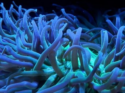 P3230009 (640x479).jpg