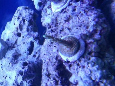 20130224_135527.jpg