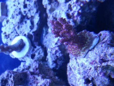 20130224_135455.jpg