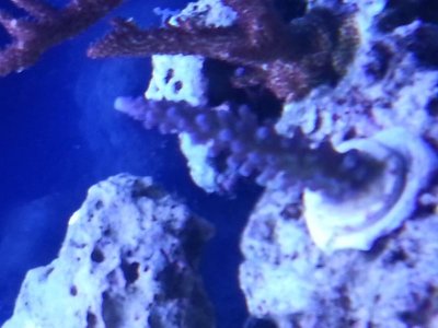 20130224_135532.jpg