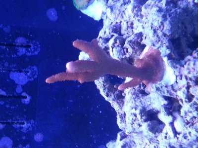 20130224_135736.jpg